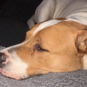 Meet your Posher, Meghan